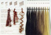 Exoderm Hair implant colors